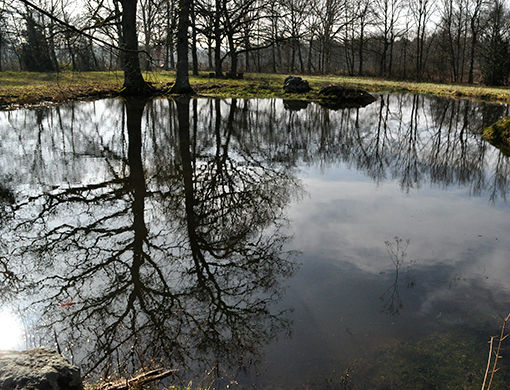 Aménagement de plans d'eau