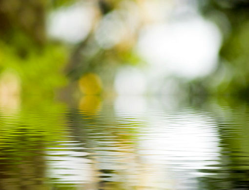 Loi sur l'eau